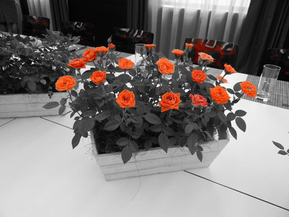 Rosslyn Park Hotel Sofia